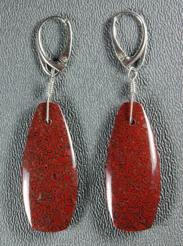 Ruby Red, Agatized Dinosaur Bone (Gembone) Earrings #84744
